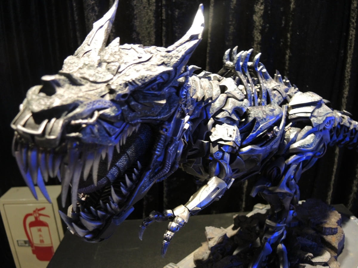 DSCN4422.JPG