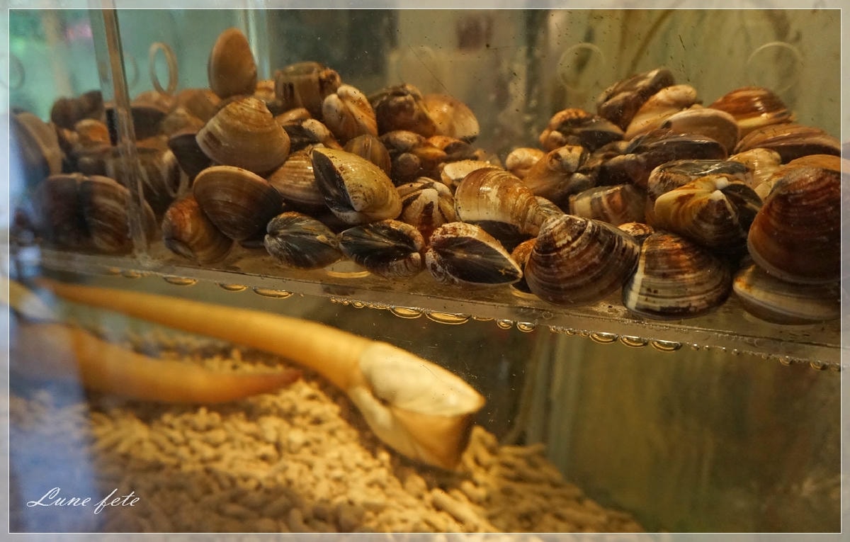 DSC03742.JPG