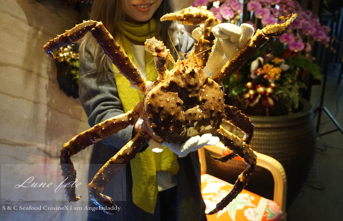 DSC07980.JPG
