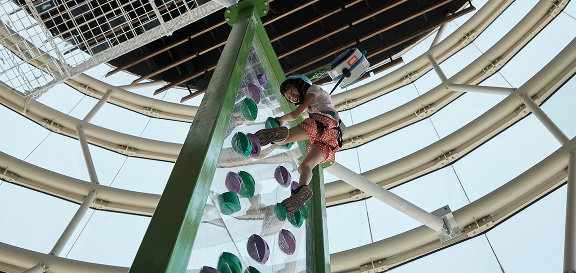 climb-1.jpg