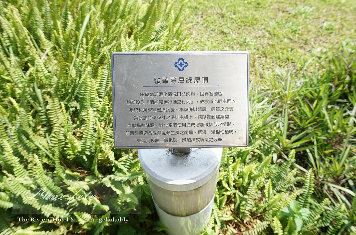 DSC09237.JPG