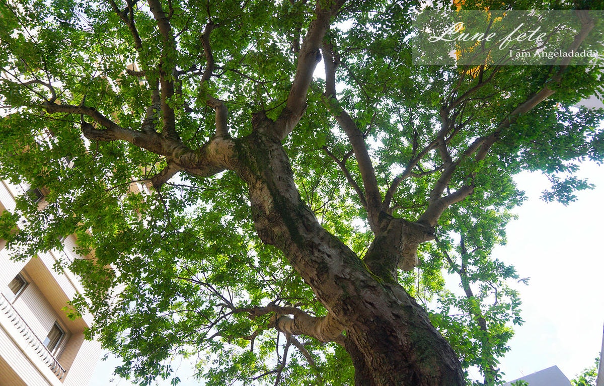 DSC00383
