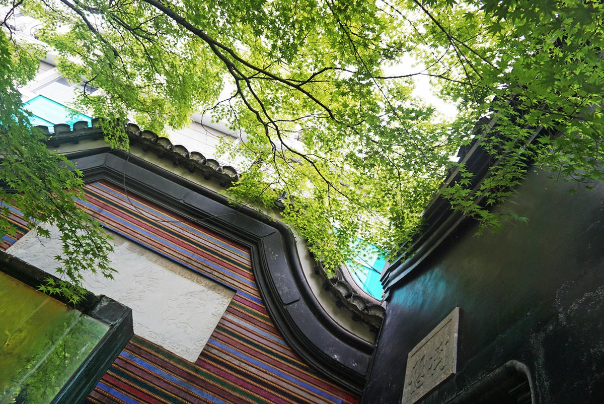 DSC06595