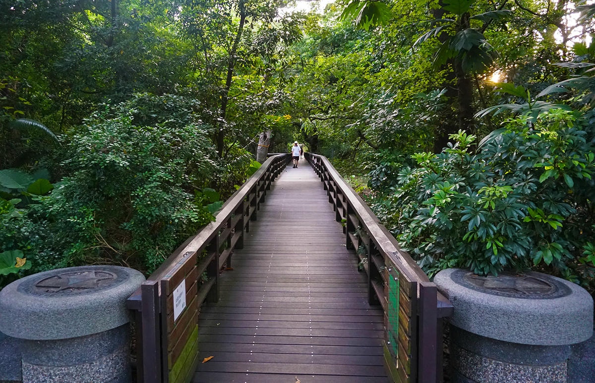 DSC01692.JPG 品陽大苑 建案 甲桂林 學府宅 二環捷運站 台北植物園 南門市場 中正紀年堂 歷史博物館 中正區建案