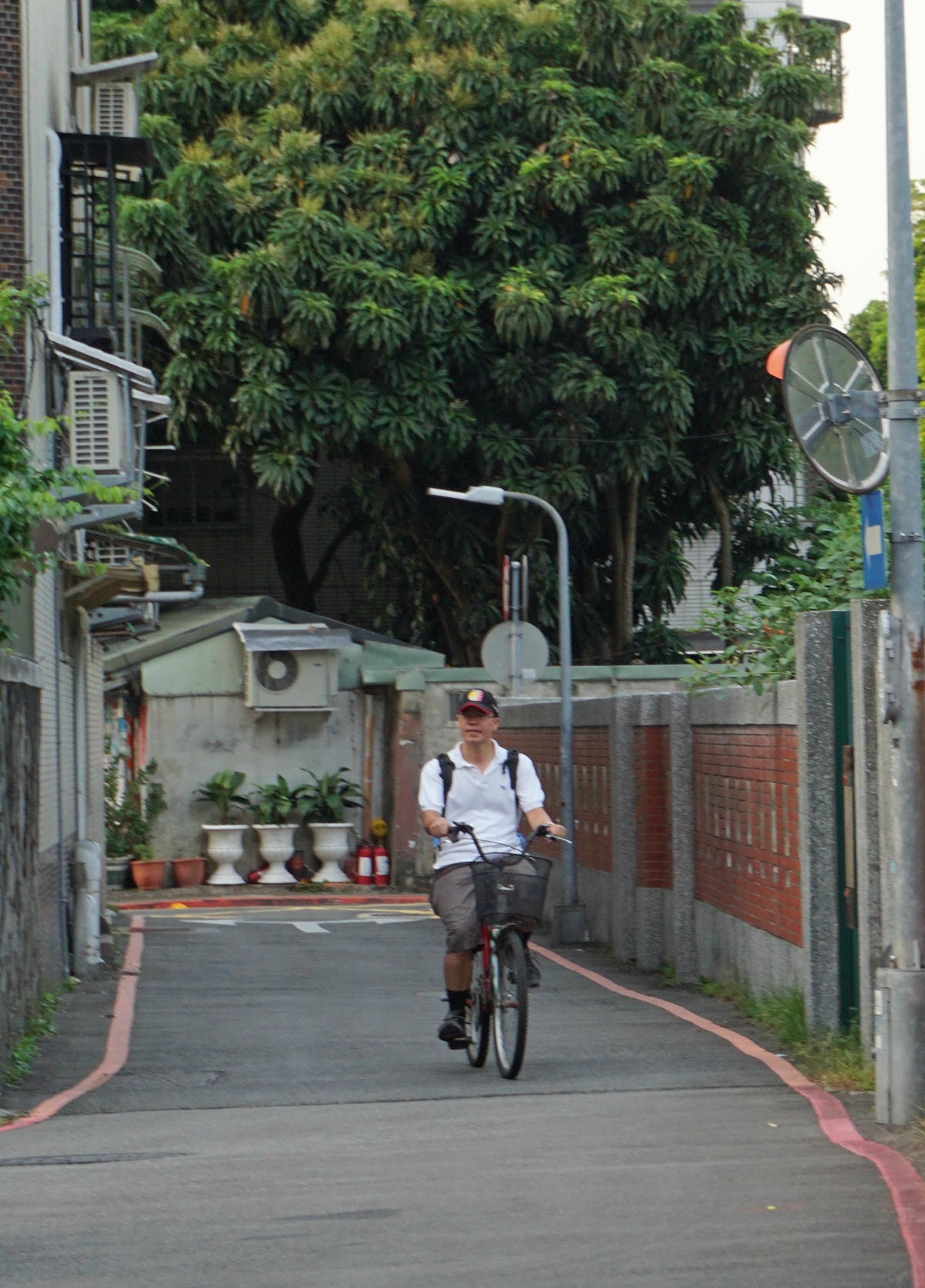 DSC01672.JPG 品陽大苑 建案 甲桂林 學府宅 二環捷運站 台北植物園 南門市場 中正紀年堂 歷史博物館 中正區建案