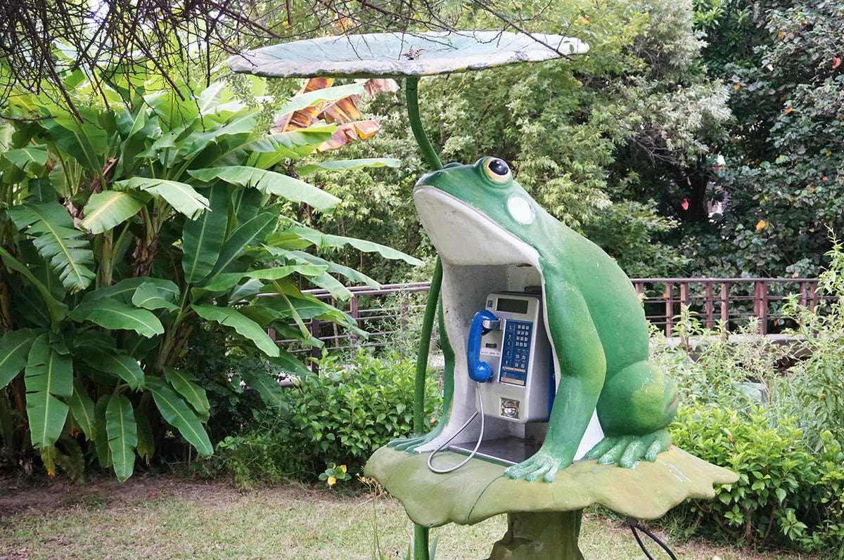 DSC01706.JPG 品陽大苑 建案 甲桂林 學府宅 二環捷運站 台北植物園 南門市場 中正紀年堂 歷史博物館 中正區建案