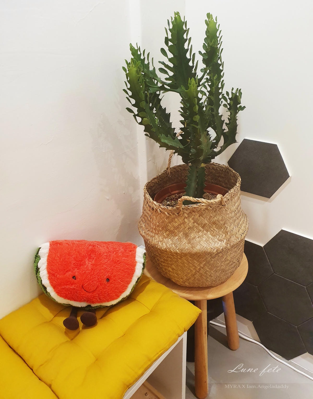 20190911_184049