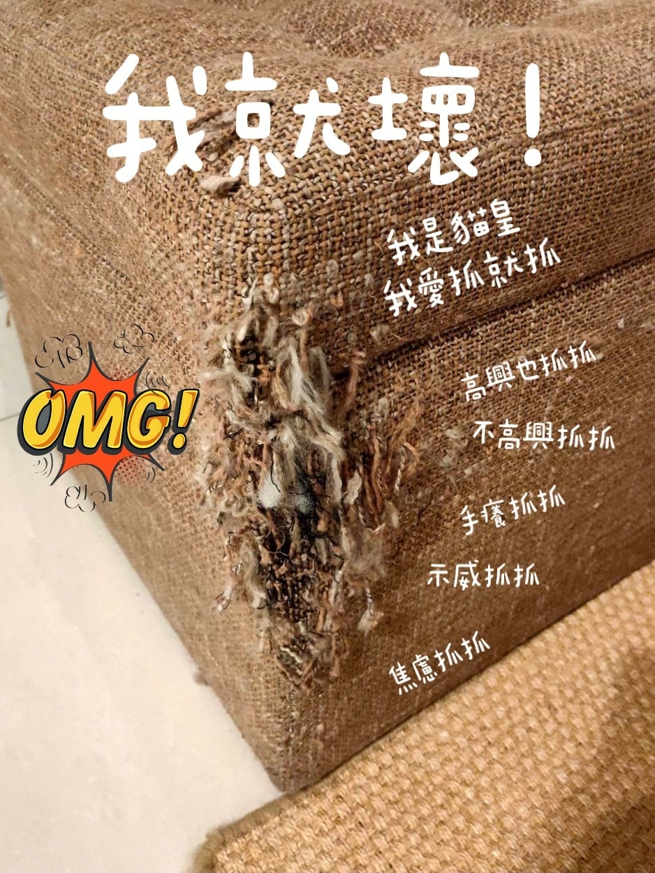 貓奴買貓抓布沙發就選沙發先生家居 北歐平價客製化VS國內外貓抓布 透氣耐磨 防髒污 防潑水 防貓抓沙發 收編你家壞貓貓 ! 貓奴買貓抓布沙發就選沙發先生家居 北歐平價客製化VS國內外貓抓布 透氣耐磨 防髒污 防潑水 防貓抓沙發 收編你家壞貓貓 !