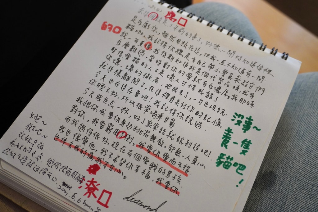 【養一隻貓吧。貓咪中途驛站】透過實際陪玩了解貓咪個性並找出有緣貓貓 各種療癒型養育課程幫助準貓爸貓媽照顧更得心應手 降低棄退養機率 - 第18張圖 【養一隻貓吧。貓咪中途驛站】透過實際陪玩了解貓咪個性並找出有緣貓貓 各種療癒型養育課程幫助準貓爸貓媽照顧更得心應手 降低棄退養機率