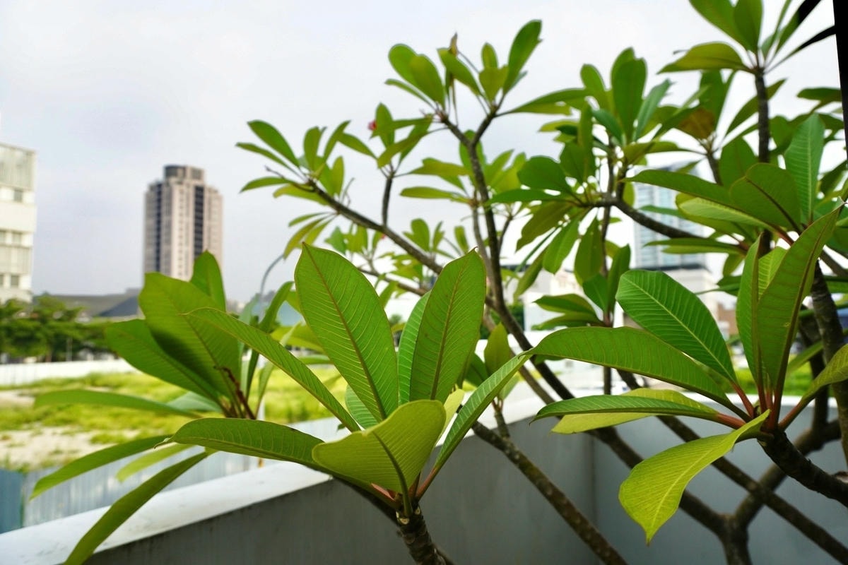 朵茉行館 台中最美汽車旅館 2023國慶假期大熱門 延續初見 朵茉行館 台中最美汽車旅館 2023國慶假期大熱門 延續初見