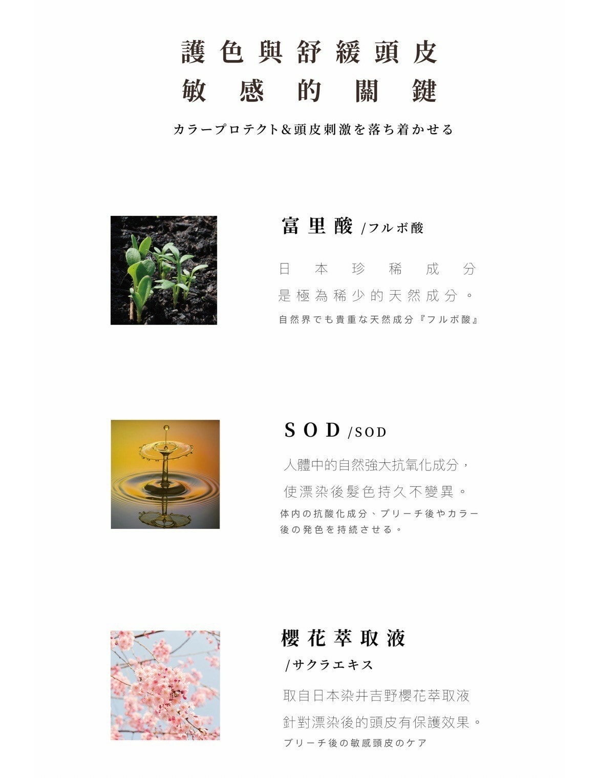 基隆霓肆髮廊「MEM頭髮沉浸式Spa」 洗、潤、護一次搞定,