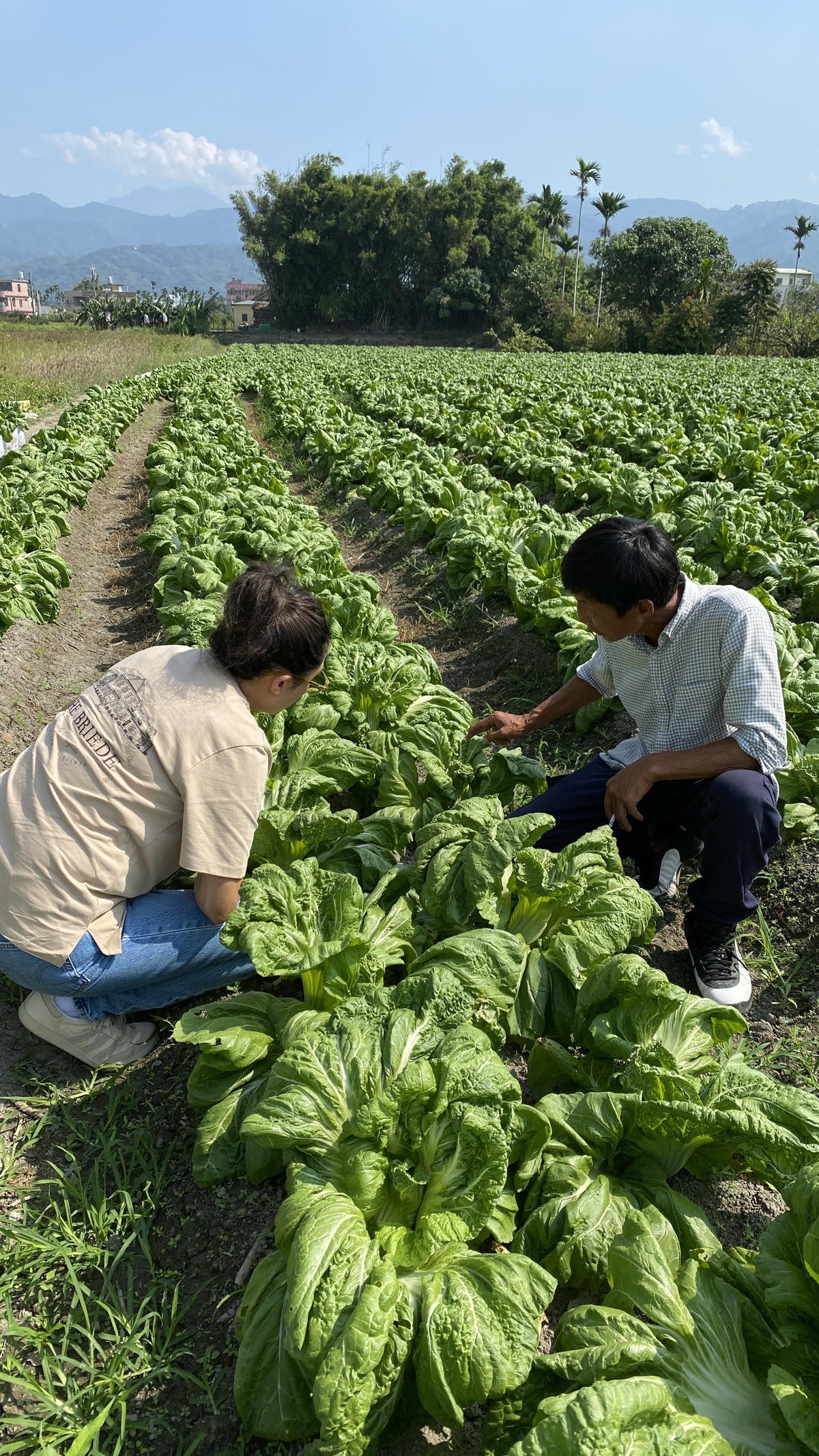 500盤美食評鑑中山對酌35000起桌吃甚麼? 這次我們從美 500盤美食評鑑中山對酌35000起桌吃甚麼? 這次我們從美