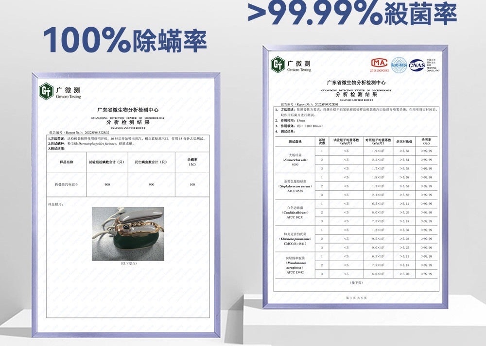 【韓國DAEWOO】2in1平/掛燙蒸氣熨斗 復古輕奢超美型 【韓國DAEWOO】2in1平/掛燙蒸氣熨斗 復古輕奢超美型