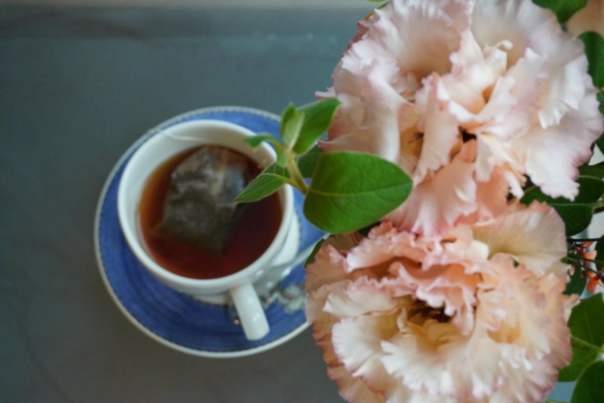 2024陽明山隱藏版無菜單料理推薦 絹絲谷 Silk Val 2024陽明山隱藏版無菜單料理推薦 絹絲谷 Silk Val