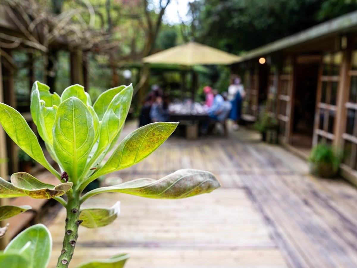 陽明山溫泉美食餐廳 絹絲谷SPA休閒會館 賞花+泡湯+戶外美 陽明山溫泉美食餐廳 絹絲谷SPA休閒會館 賞花+泡湯+戶外美