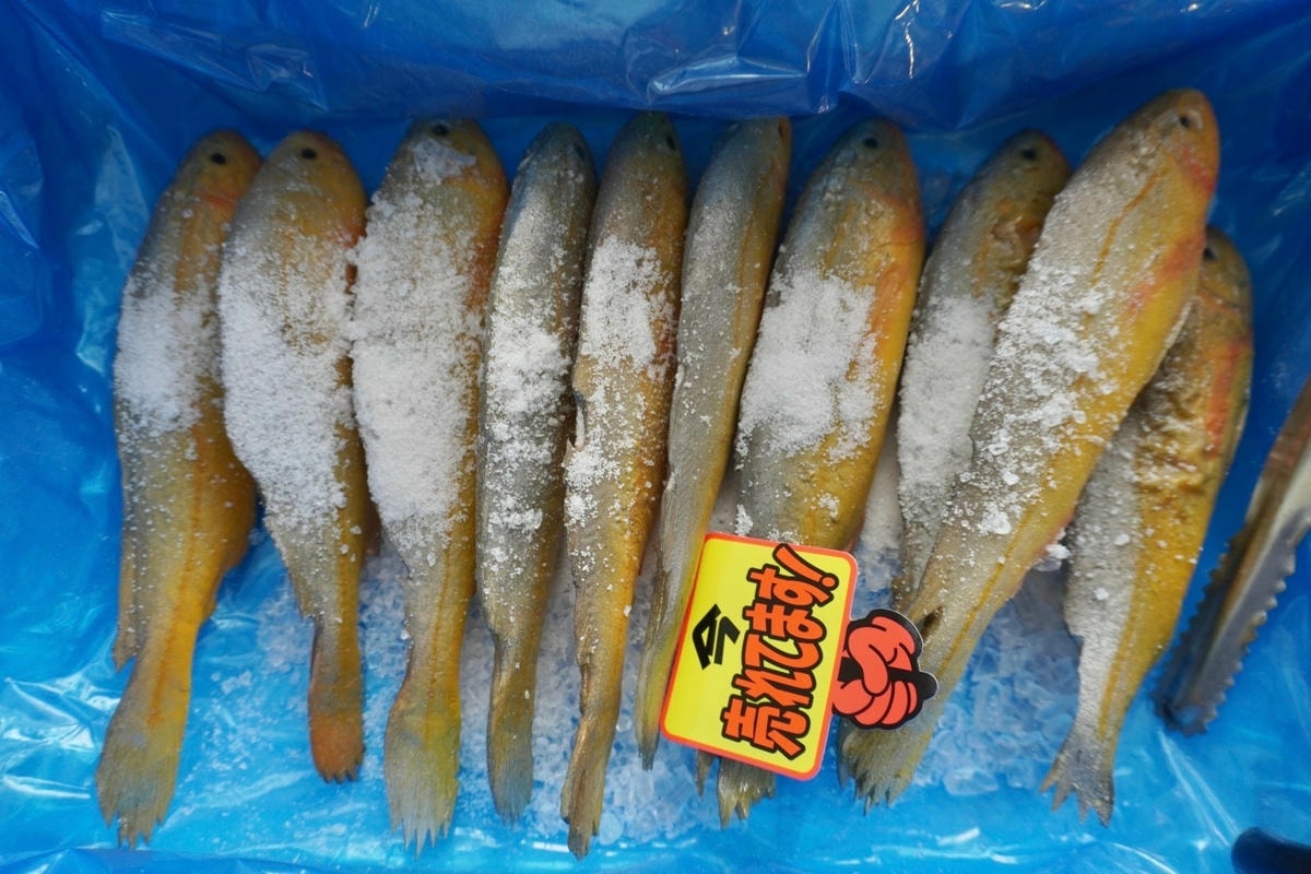 藤哲商行 超好拍的日本漁市電影場景 每日限量供應河豚拉麵3 藤哲商行 超好拍的日本漁市電影場景 每日限量供應河豚拉麵3