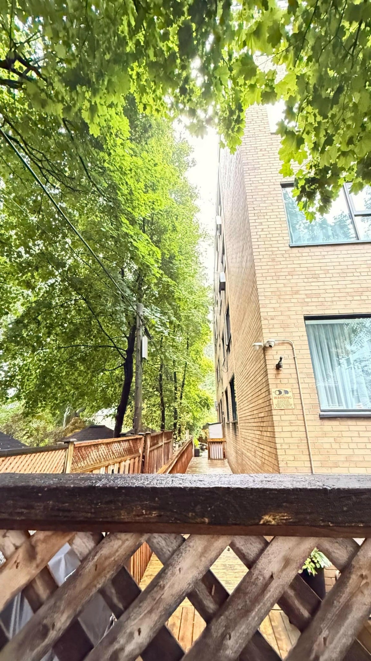 藝樹人工作室 台北樹木修剪,讓城市綠意更健康 藝樹人工作室 台北樹木修剪,讓城市綠意更健康