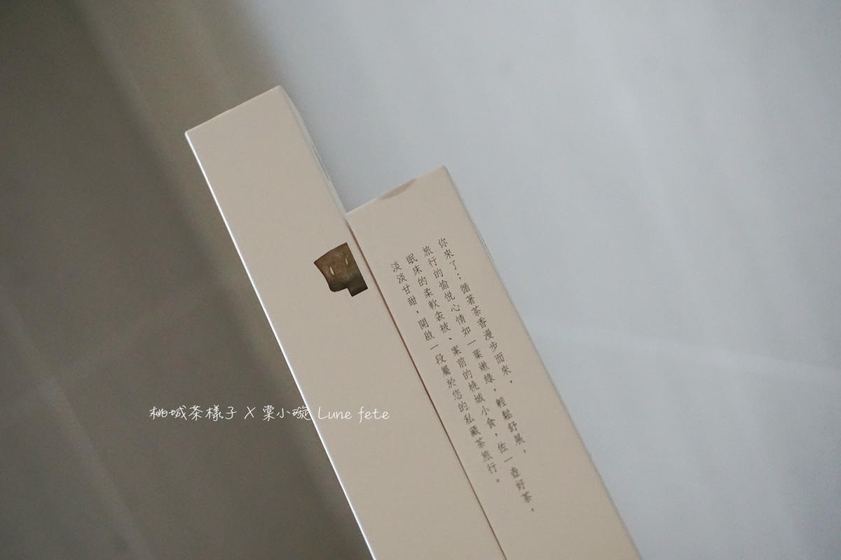 【嘉義推薦住宿/設計旅店】承億文旅-桃城茶樣子 全台最美飯店
