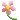 【胺基酸洗面乳推薦】女子NVZI雛菊花萃開箱彈潤原生肌從洗