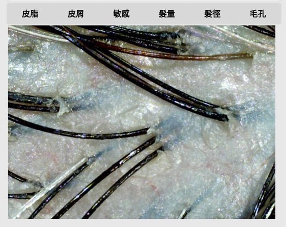品牌開箱Fées BEAUTÉ 選物推薦:賦活養髮髮浴+賦